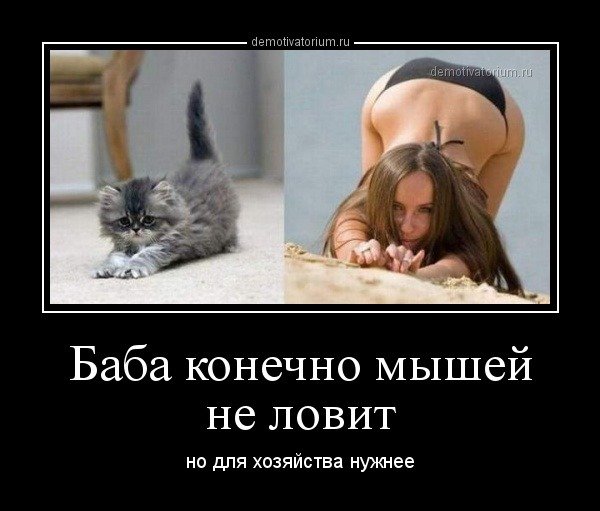 Бабамышейнеловит