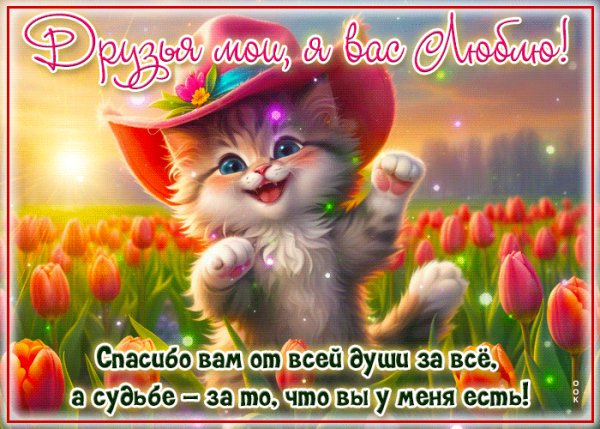 O-vam-ot-vsei-dusi-za-vse-172368