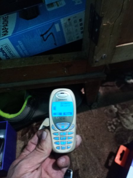 Siemens c55