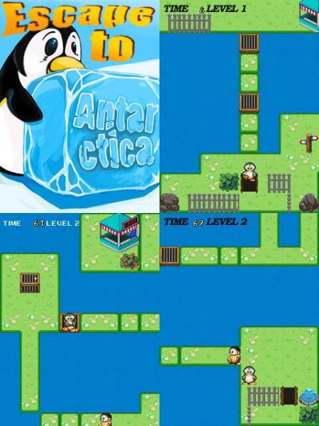 Escape to Antarctica 240х320