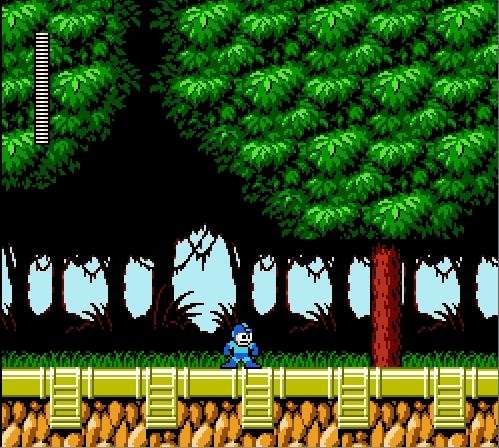Megaman VI
