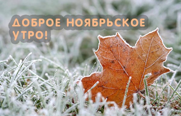 Dobroe noyabrbskoe umrо