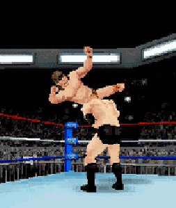 3D WWE Legends of Wrestle Mania 176x220