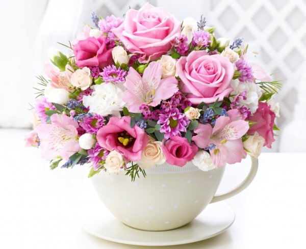 file_71512209