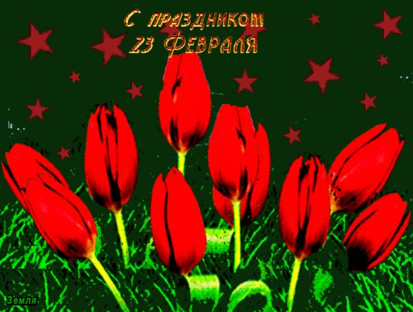 file_76688080