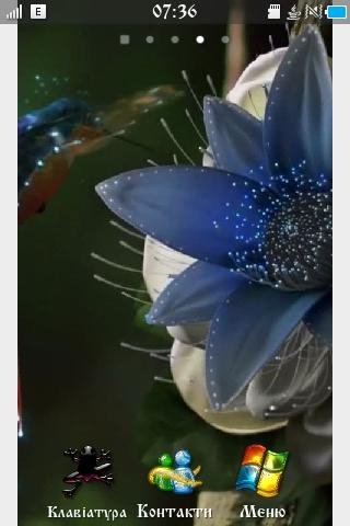bird