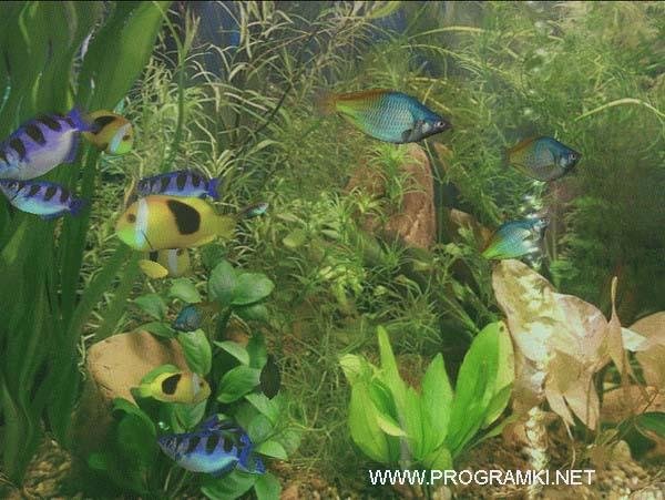 Aqua 3D Screensaver 1.52