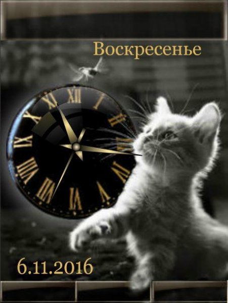 Ljubopytnyj (bur-belka)
