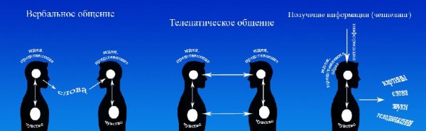 Немного об общении и передаче информации