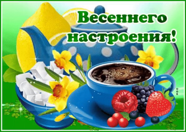 IMG 20240331 001706