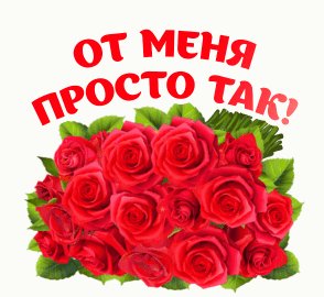 IMG 20240326 200053