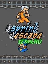 Sprint Escape 220 sgh