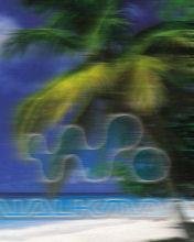 (walkmancaribe)
