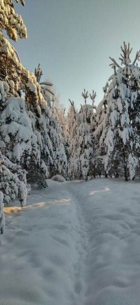 file_95548760