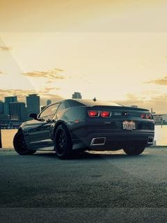 Camaro2