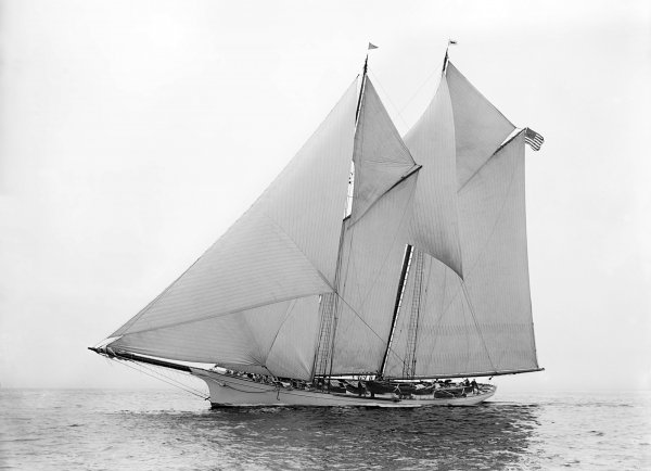 IMG viter59 Gitana 1892