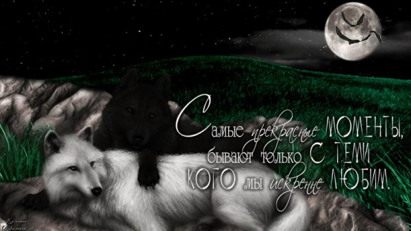 image (17)