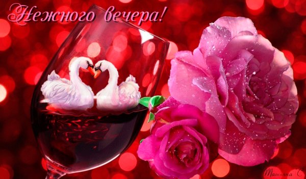 Нежного вечера!