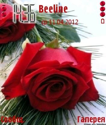 redrose qm9x2cny