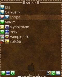 skins