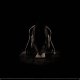 *