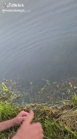 Рыбалка)
