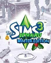 Sims 3 Winter 240 sgh
