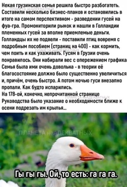file_103369806