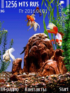 Aquarium+@Trewoga