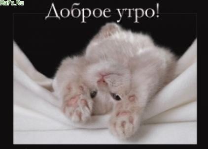 Доброе утро
