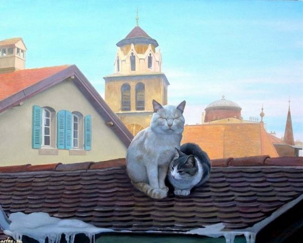Коты на крыше (8)
