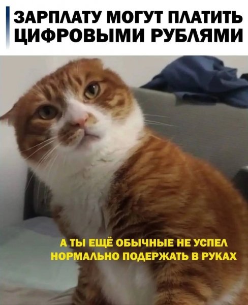 file_103518128