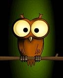 SuperOwl