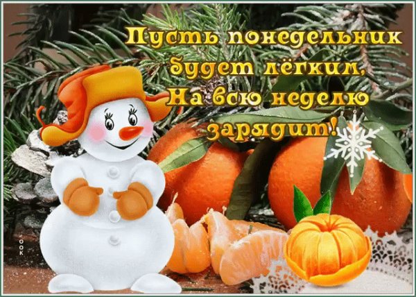 IMG 20220131 202153