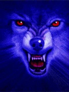 Woolf 0 1