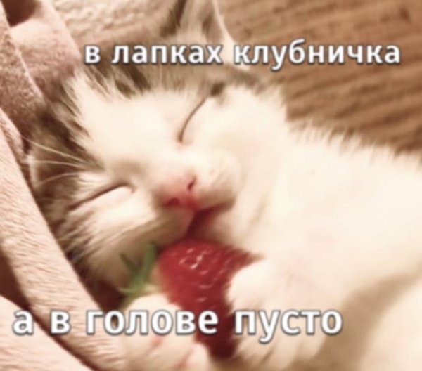 file_103431848
