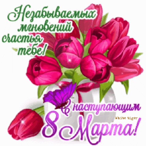 IMG 20220312 185133