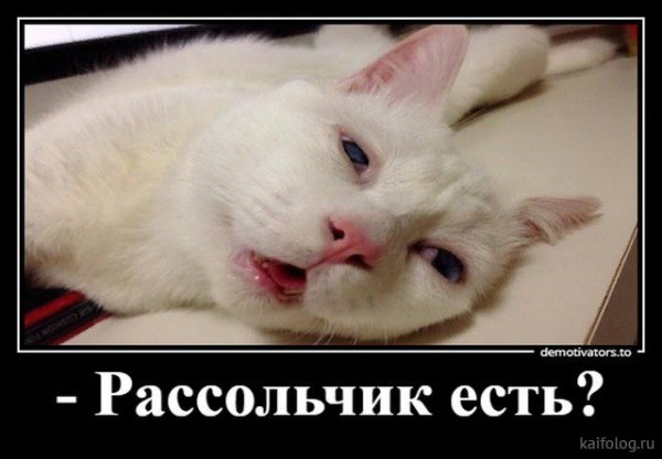 file_76082258