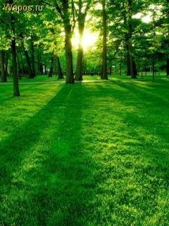 Super