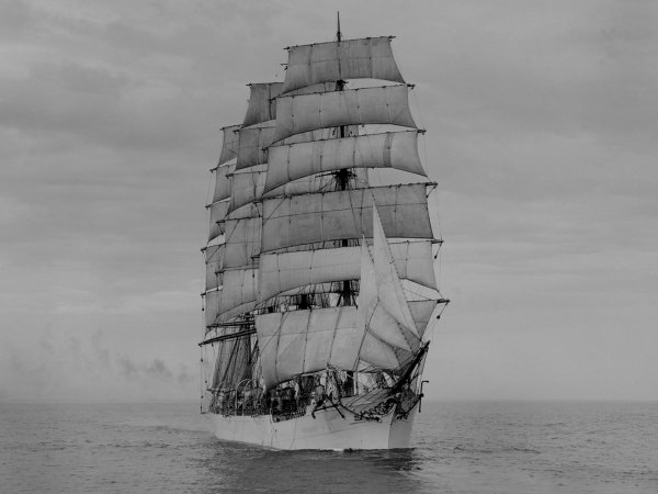 IMG viter59 bark Viking