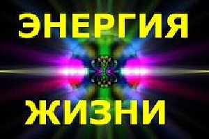 Как заработать ленивому