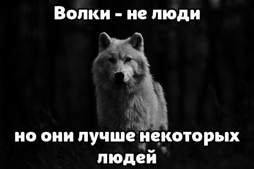 abYGeqShcZ4