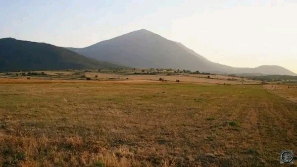 file_103402770