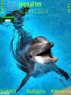 Dolphin океан анимация