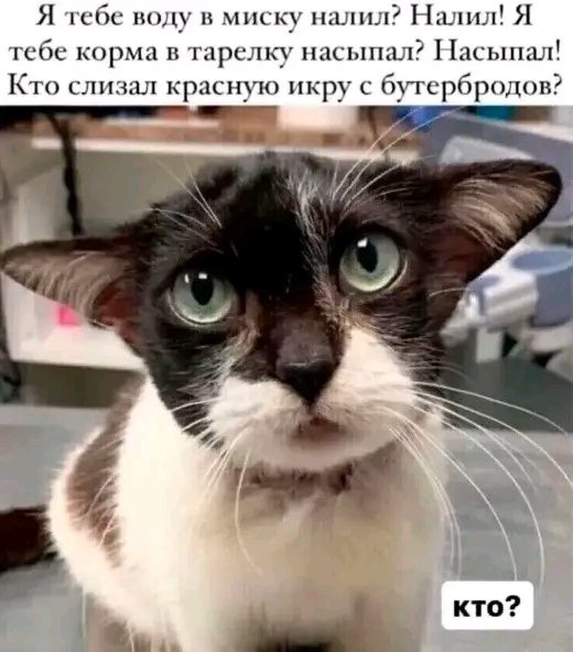 file_103551710