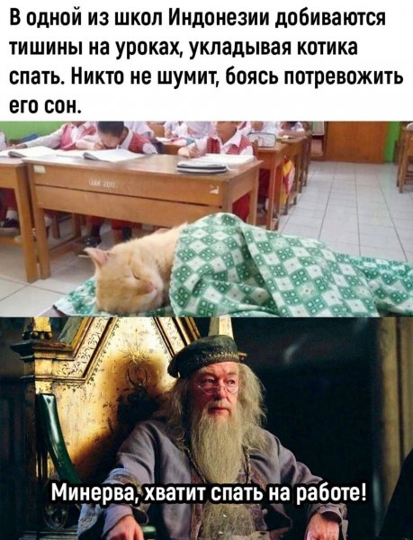 file_103551371