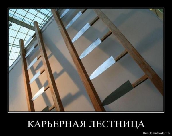 Карьерная лестница
