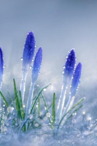 file_78808772