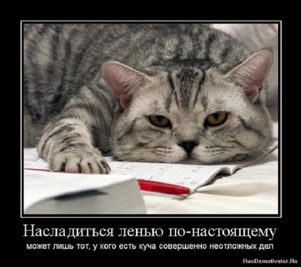 Тот у кого куча неотложных дел