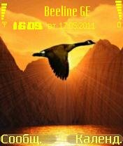 flying goose 0 1